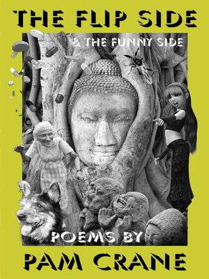 cover image of The Flip Side & the Funny Side